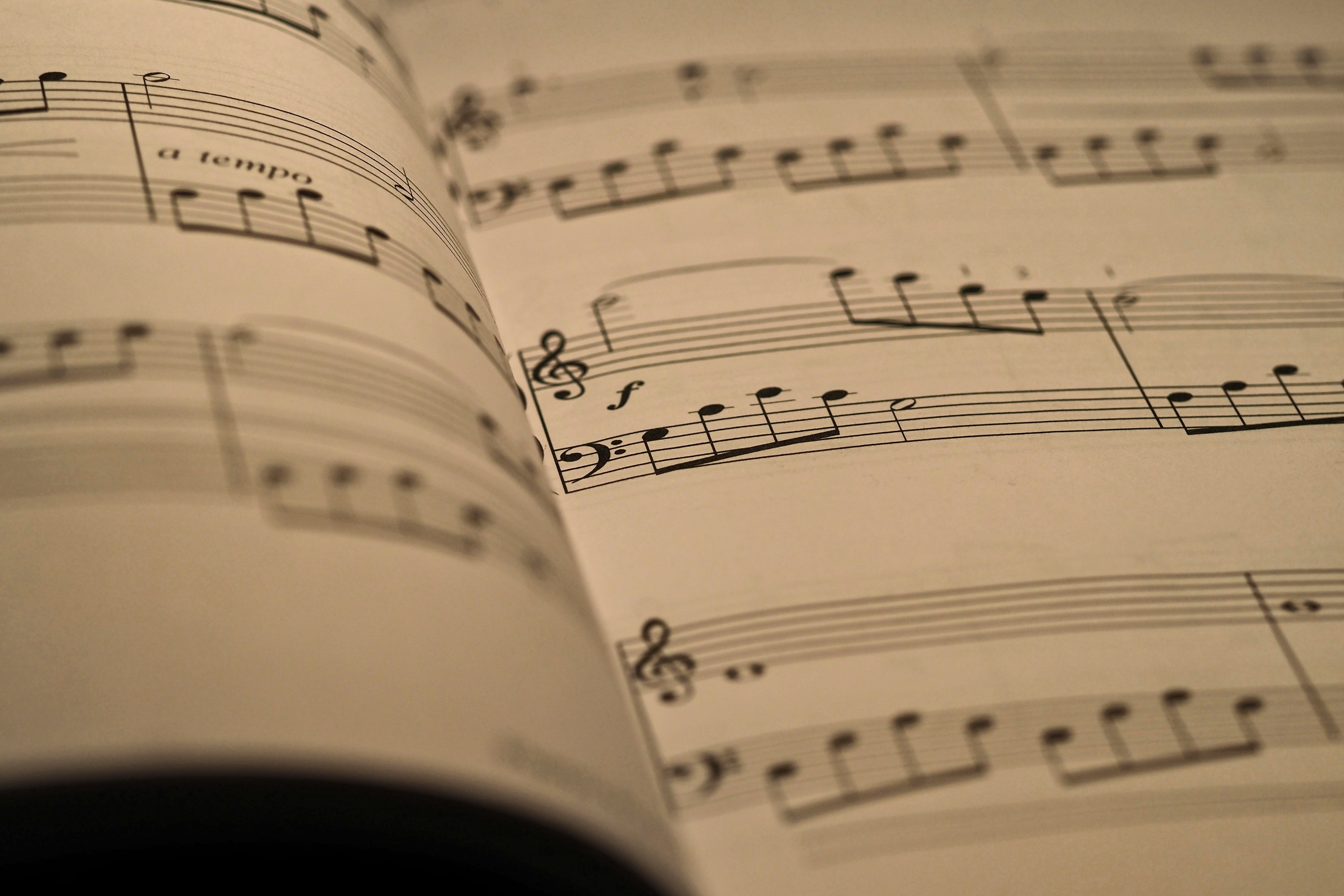 Close-up of sheet music